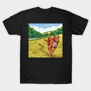 Landscape Dog Run T-Shirt
